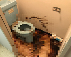 愛知の特殊清掃の事例4・トイレで孤独死現場の状況