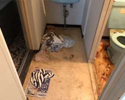 愛知の特殊清掃の事例4・トイレで孤独死現場の踊り場周辺の腐敗液