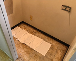 愛知の特殊清掃の事例4・トイレで孤独死現場の腐敗液を除去、トイレを外す