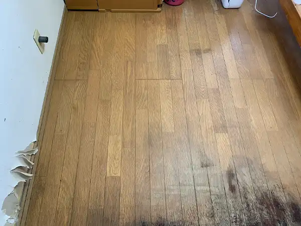 愛知県東海市の特殊清掃の作業後１