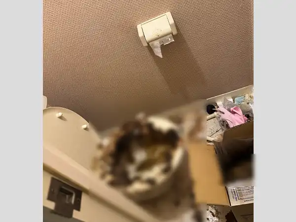 愛知県弥富市の特殊清掃（汚部屋トイレクリーニング）の作業前１