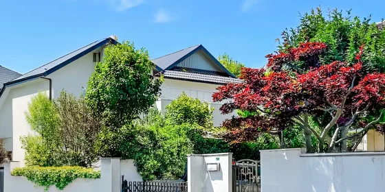 あま市で結ぶ「家族の絆」と「家の終活」：甚目寺・七宝・美和に受け継がれる歴史を次世代へ