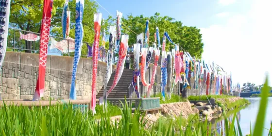 蟹江町で結ぶ「心の未明」と「住まいの再生」：水郷の街に寄り添う遺品整理・特殊清掃の完全ガイド