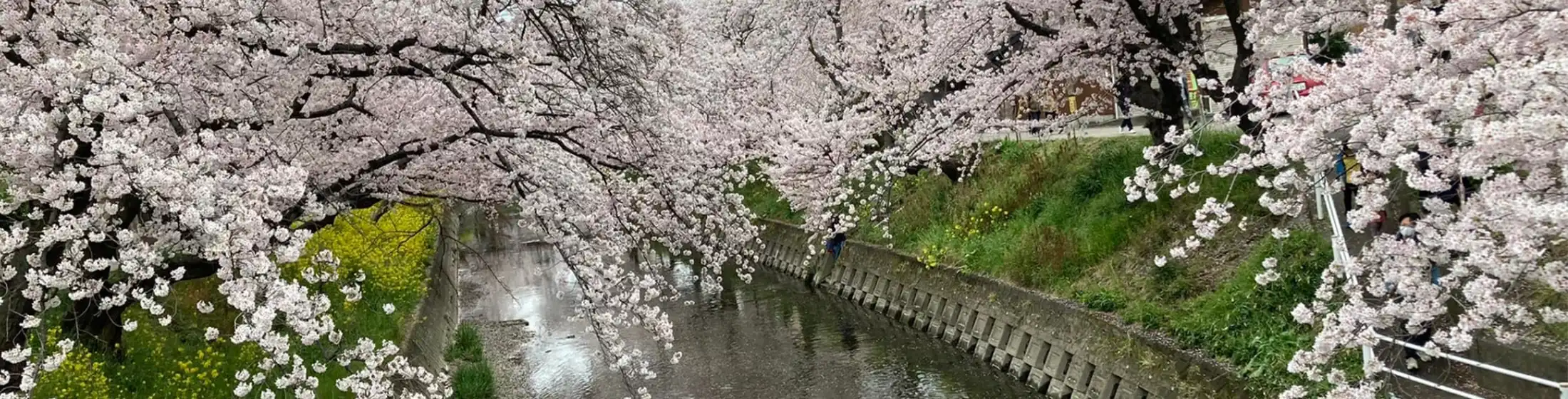 大口町で増えている「手が回らない実家問題」・遺品整理と生前整理