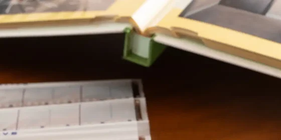 大治町で繋ぐ「家族の記憶」と「住まいのバトン」：人口密度日本屈指の町で、私たちが選ばれる理由