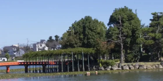 「ずっとそこにあった家」が動かなくなる瞬間。津島市の遺品整理・生前整理