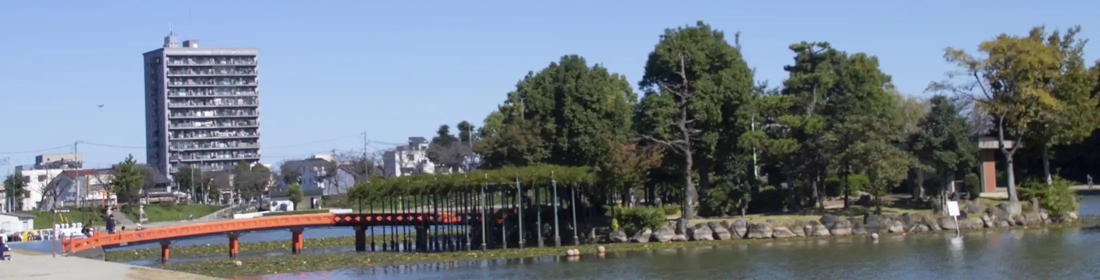 「ずっとそこにあった家」が動かなくなる瞬間。津島市の遺品整理・生前整理